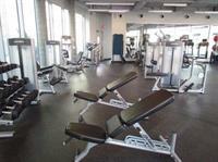 Luxury Place In Downtown * Los Angeles